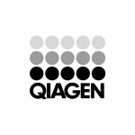 Qiagen logo in black